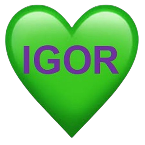 IGOR logo9